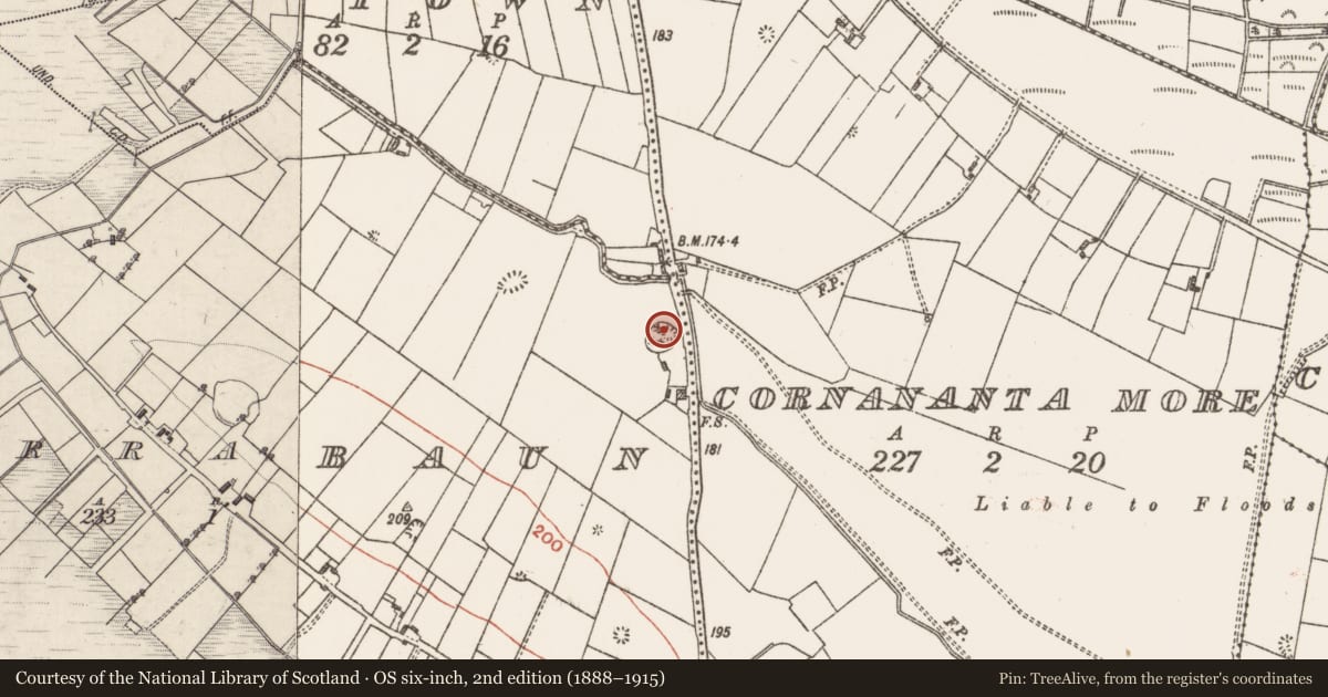 Ordnance Survey six-inch map, 2nd edition (1888–1915) covering the location of Children's burial ground, Corrabaun, County Galway, with a pin at the register's coordinates