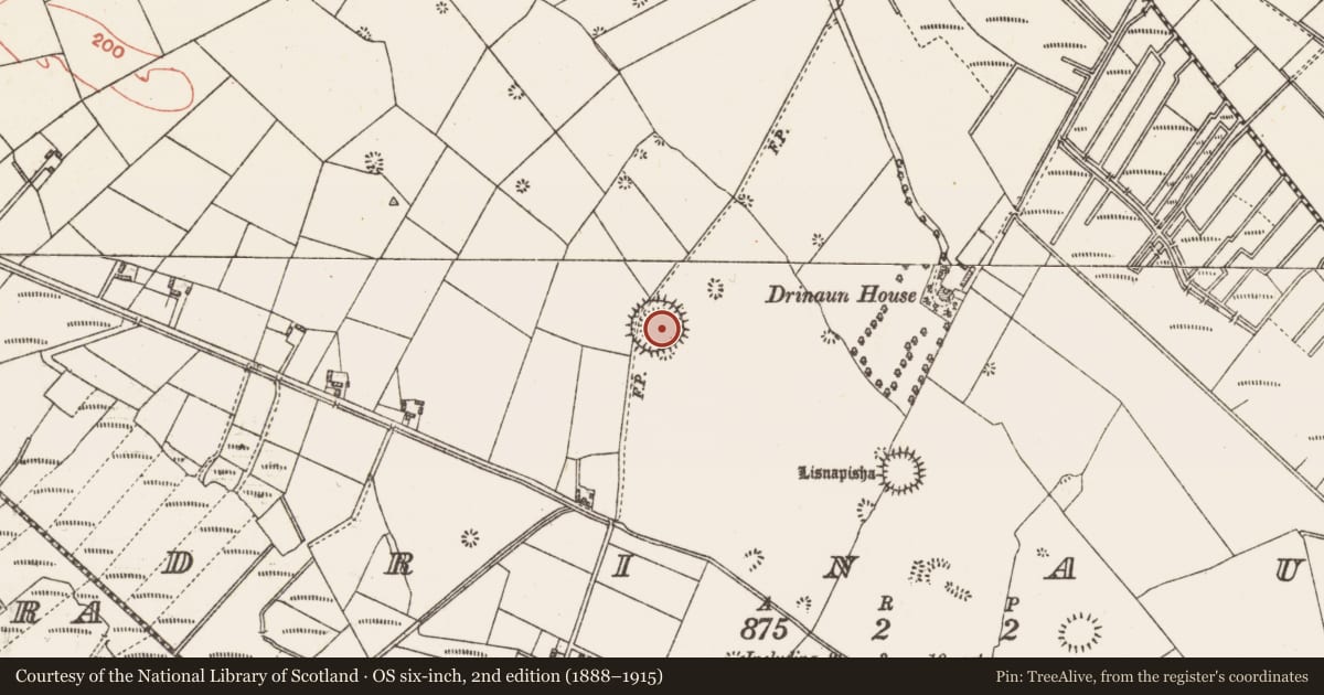 Ordnance Survey six-inch map, 2nd edition (1888–1915) covering the location of Ringfort - unclassified, Drinaun, County Galway, with a pin at the register's coordinates