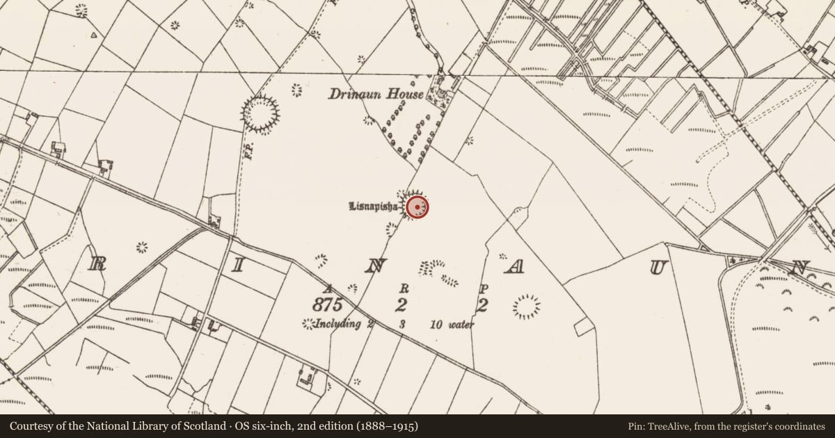 Ordnance Survey six-inch map, 2nd edition (1888–1915) covering the location of Ringfort - unclassified, Drinaun, County Galway, with a pin at the register's coordinates