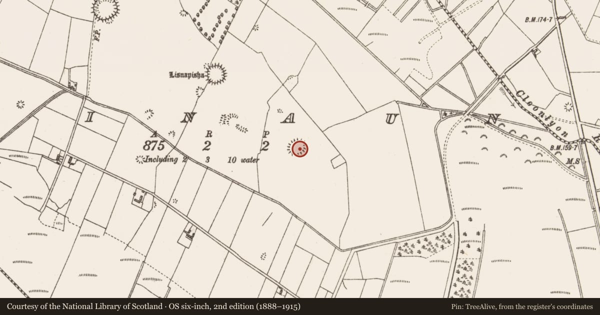 Ordnance Survey six-inch map, 2nd edition (1888–1915) covering the location of Ringfort - unclassified, Drinaun, County Galway, with a pin at the register's coordinates