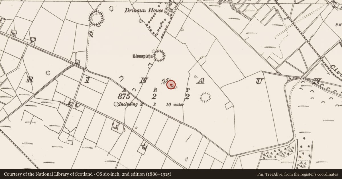 Ordnance Survey six-inch map, 2nd edition (1888–1915) covering the location of Enclosure, Drinaun, County Galway, with a pin at the register's coordinates