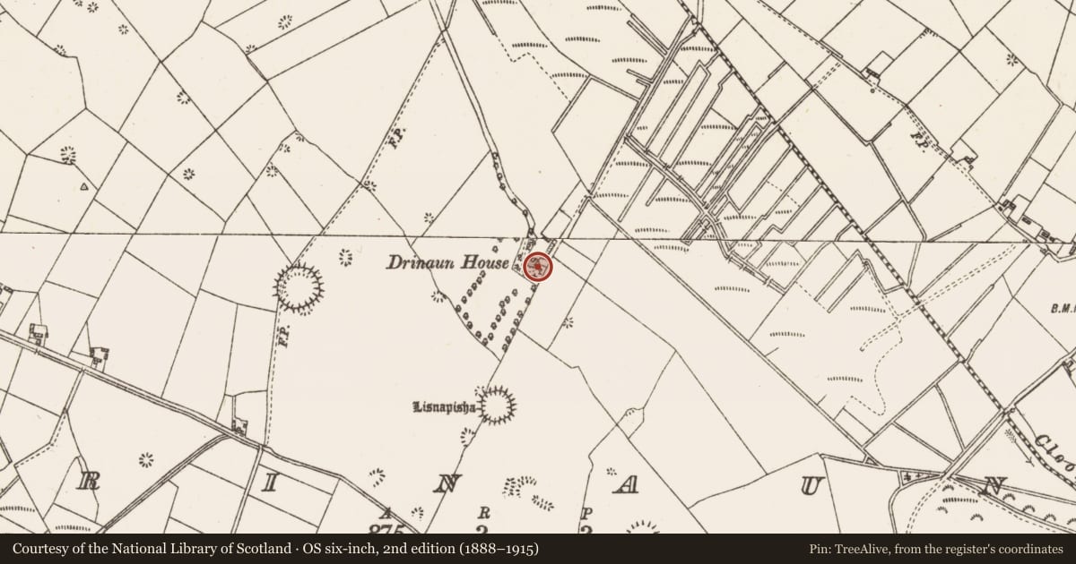 Ordnance Survey six-inch map, 2nd edition (1888–1915) covering the location of House - 18th/19th century, Drinaun, County Galway, with a pin at the register's coordinates