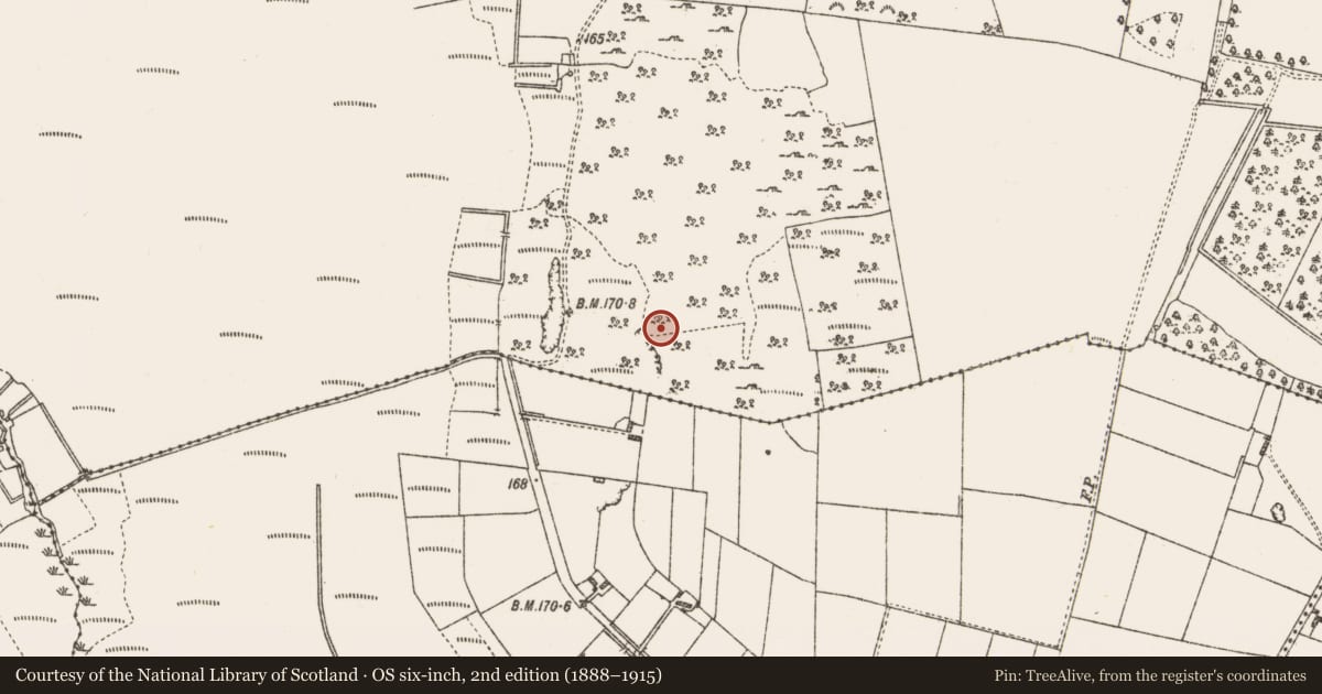 Ordnance Survey six-inch map, 2nd edition (1888–1915) covering the location of Souterrain, Muckloon, County Galway, with a pin at the register's coordinates