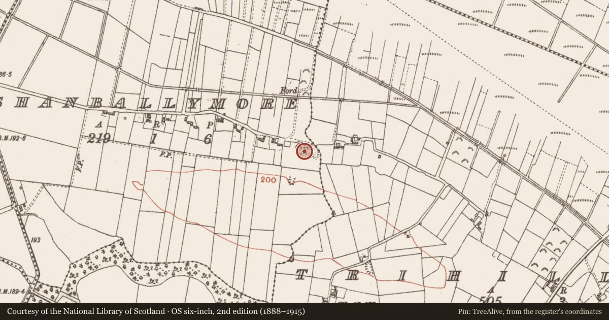 Ordnance Survey six-inch map, 2nd edition (1888–1915) covering the location of Quarry, Shanballymore, County Galway, with a pin at the register's coordinates