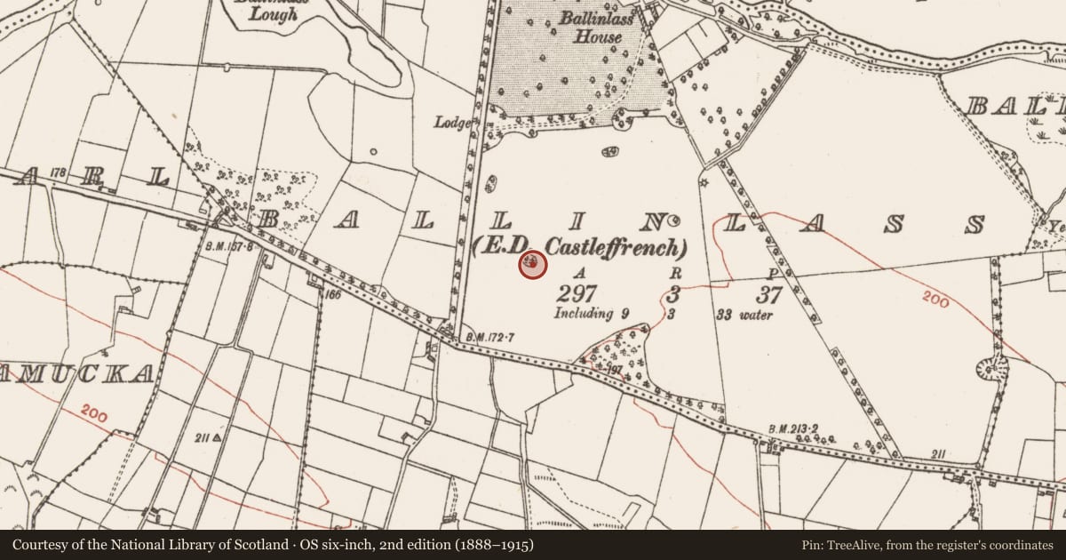 Ordnance Survey six-inch map, 2nd edition (1888–1915) covering the location of Designed landscape - tree-ring, Ballinlass, County Galway, with a pin at the register's coordinates