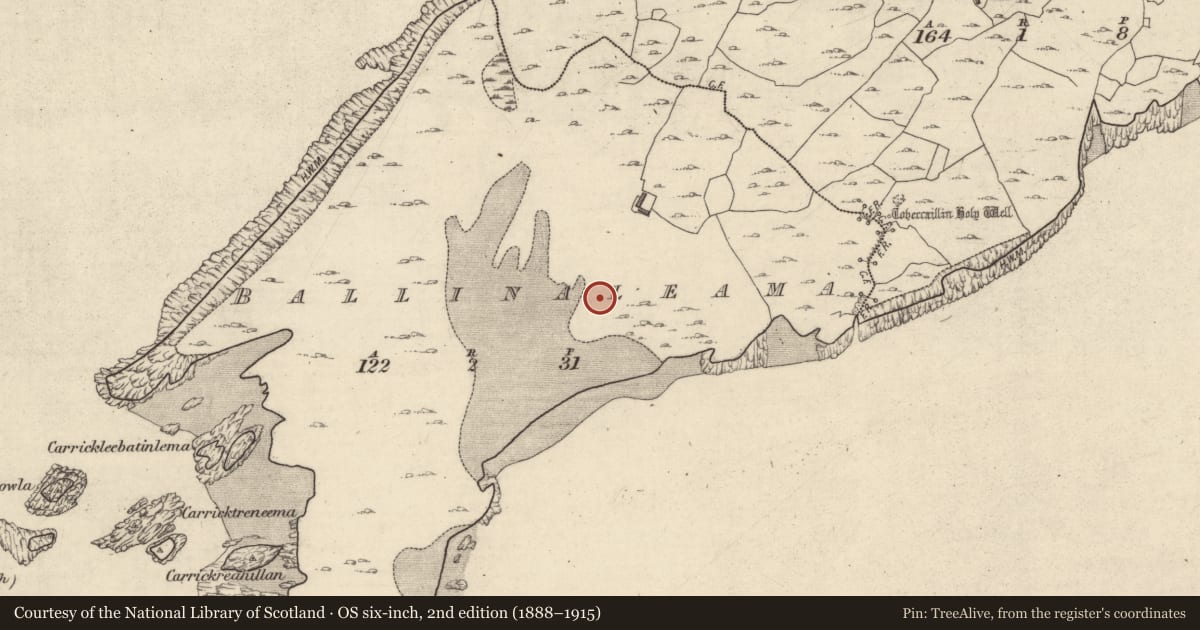 Ordnance Survey six-inch map, 2nd edition (1888–1915) covering the location of Midden, Ballinaleama, County Galway, with a pin at the register's coordinates