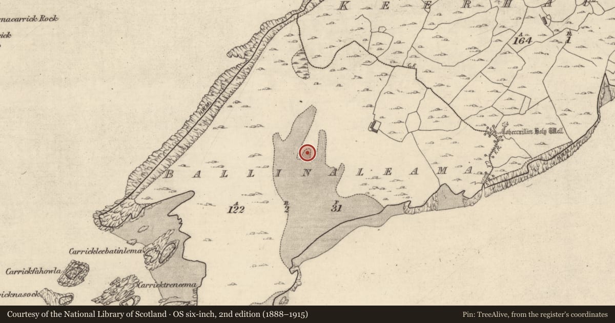 Ordnance Survey six-inch map, 2nd edition (1888–1915) covering the location of Hut site, Ballinaleama, County Galway, with a pin at the register's coordinates
