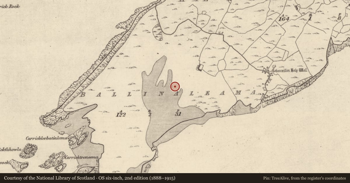 Ordnance Survey six-inch map, 2nd edition (1888–1915) covering the location of Field boundary, Ballinaleama, County Galway, with a pin at the register's coordinates