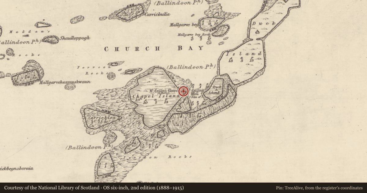 Ordnance Survey six-inch map, 2nd edition (1888–1915) covering the location of Ritual site - holy well, Chapel Island, County Galway, with a pin at the register's coordinates