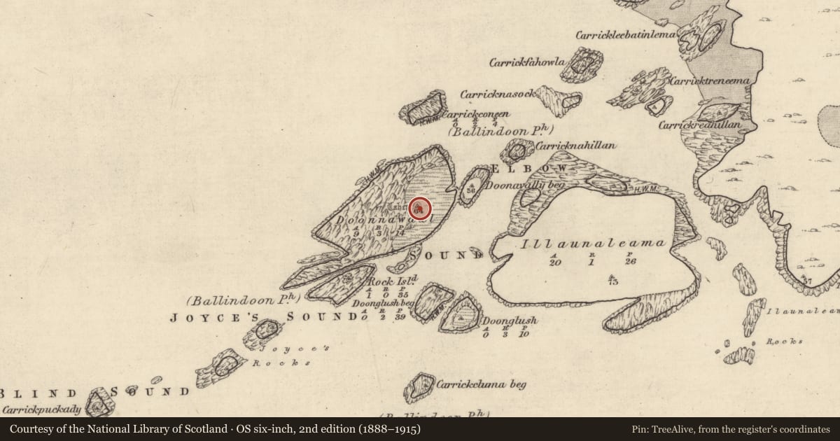 Ordnance Survey six-inch map, 2nd edition (1888–1915) covering the location of Ringfort - cashel, Doonnawaul, County Galway, with a pin at the register's coordinates