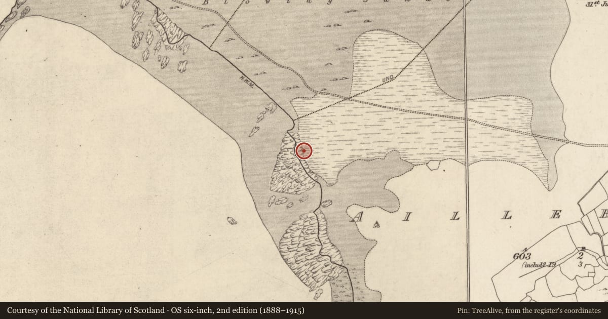 Ordnance Survey six-inch map, 2nd edition (1888–1915) covering the location of Children's burial ground, Aillebrack, County Galway, with a pin at the register's coordinates