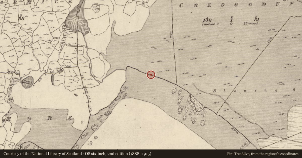 Ordnance Survey six-inch map, 2nd edition (1888–1915) covering the location of Midden, Silverhill, County Galway, with a pin at the register's coordinates