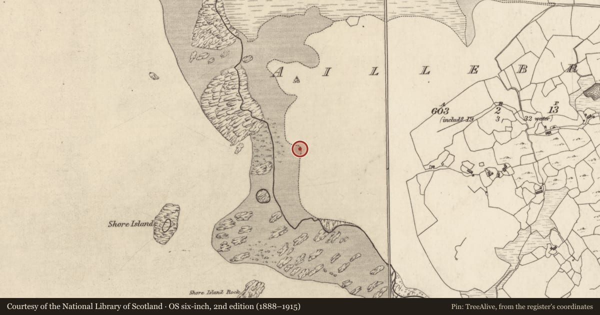 Ordnance Survey six-inch map, 2nd edition (1888–1915) covering the location of Midden, Aillebrack, County Galway, with a pin at the register's coordinates