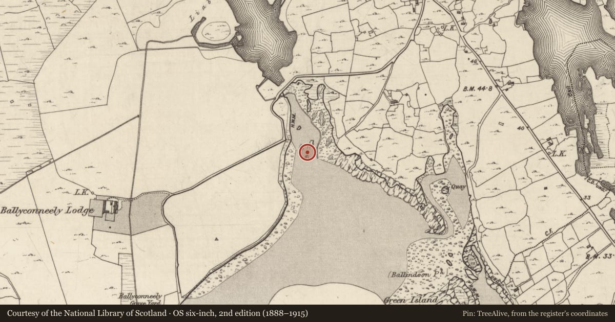 Ordnance Survey six-inch map, 2nd edition (1888–1915) covering the location of Dam, Ballyconneely, County Galway, with a pin at the register's coordinates
