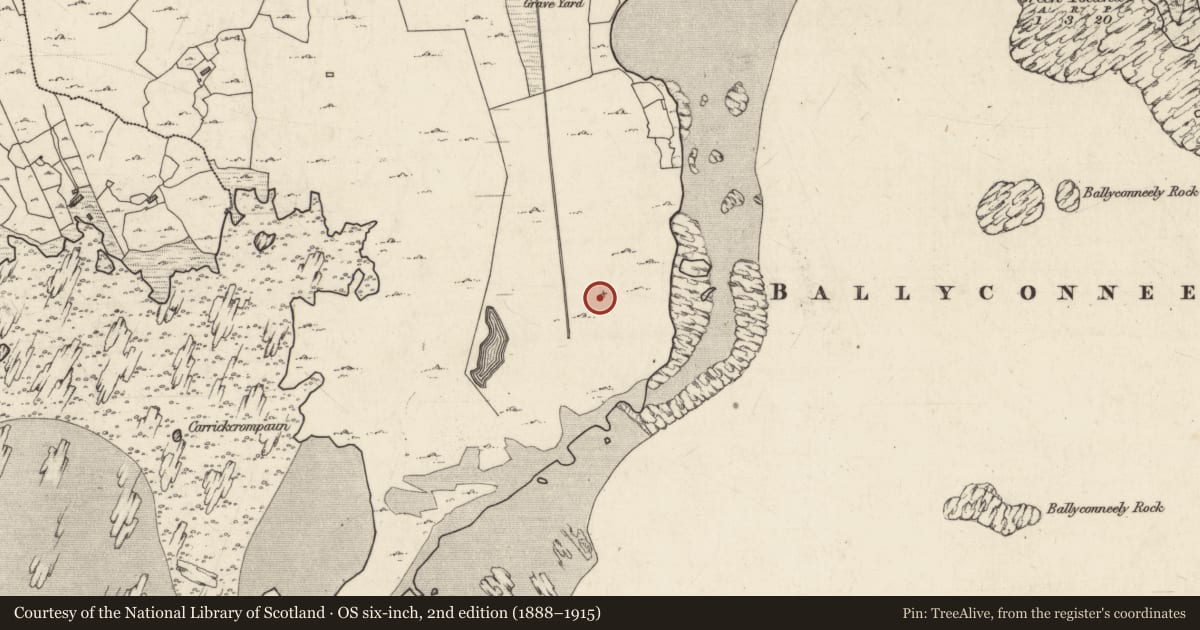 Ordnance Survey six-inch map, 2nd edition (1888–1915) covering the location of Designed landscape - folly, Ballyconneely, County Galway, with a pin at the register's coordinates