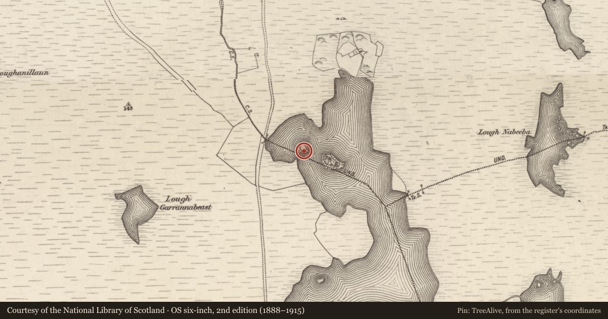 Ordnance Survey six-inch map, 2nd edition (1888–1915) covering the location of Ringfort - cashel, Beaghcauneen, County Galway, with a pin at the register's coordinates