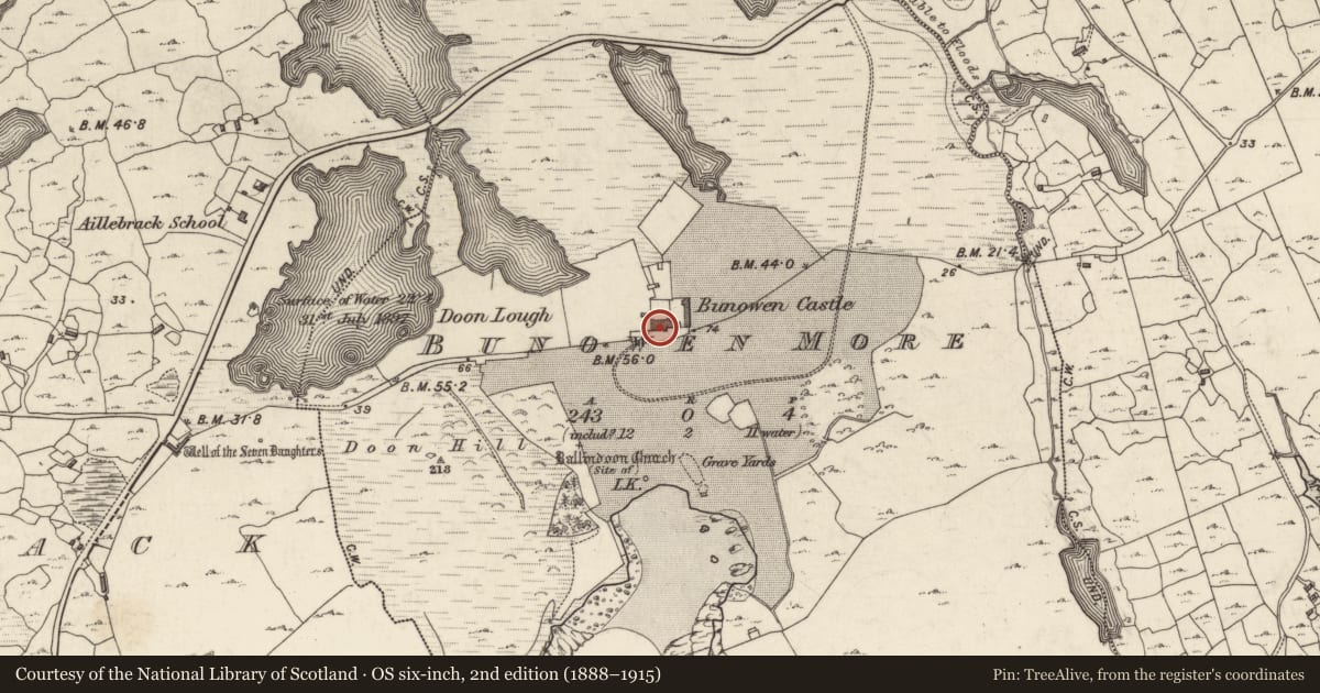 Ordnance Survey six-inch map, 2nd edition (1888–1915) covering the location of Country house, Bunowen More, County Galway, with a pin at the register's coordinates