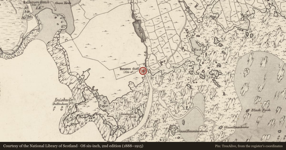 Ordnance Survey six-inch map, 2nd edition (1888–1915) covering the location of Castle - tower house, Bunowen More, County Galway, with a pin at the register's coordinates
