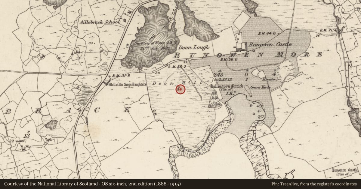 Ordnance Survey six-inch map, 2nd edition (1888–1915) covering the location of Signal tower, Bunowen More, County Galway, with a pin at the register's coordinates