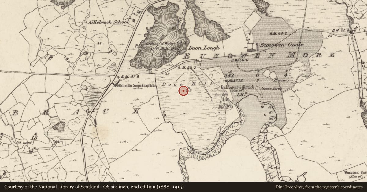 Ordnance Survey six-inch map, 2nd edition (1888–1915) covering the location of Designed landscape - folly, Bunowen More, County Galway, with a pin at the register's coordinates