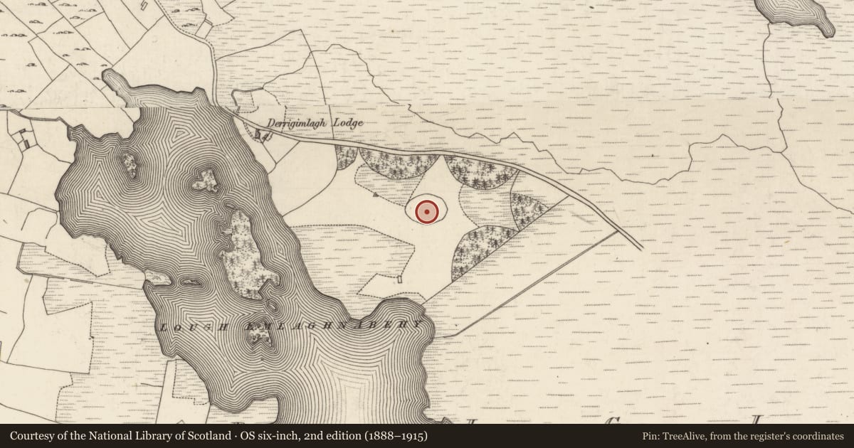 Ordnance Survey six-inch map, 2nd edition (1888–1915) covering the location of Designed landscape feature, Derrigimlagh, County Galway, with a pin at the register's coordinates