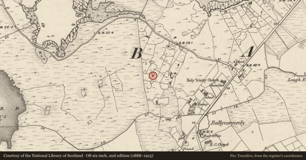 Ordnance Survey six-inch map, 2nd edition (1888–1915) covering the location of Ritual site - holy well, Derrigimlagh, County Galway, with a pin at the register's coordinates