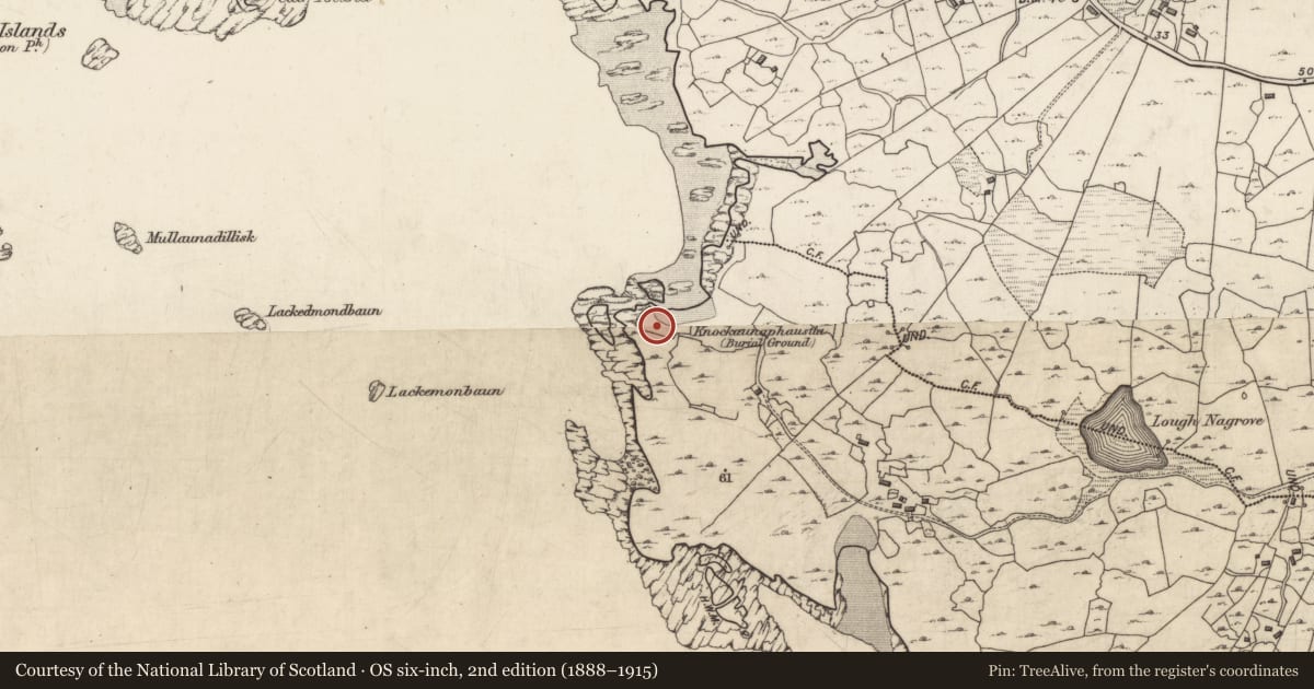 Ordnance Survey six-inch map, 2nd edition (1888–1915) covering the location of Children's burial ground, Dolan, County Galway, with a pin at the register's coordinates