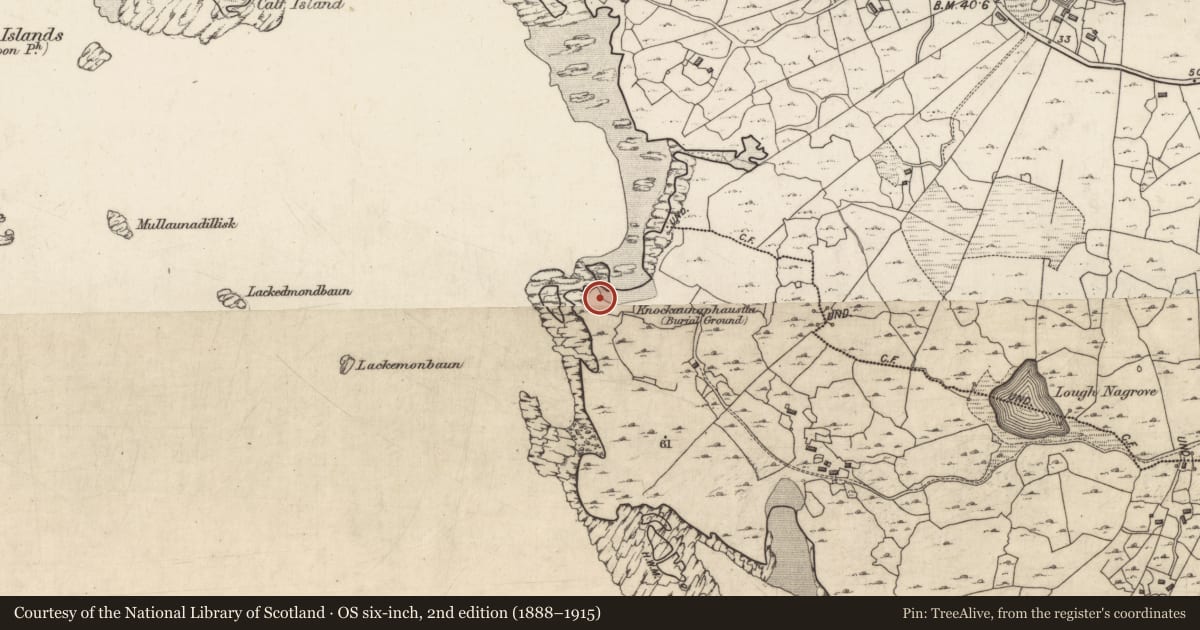 Ordnance Survey six-inch map, 2nd edition (1888–1915) covering the location of Midden, Dolan, County Galway, with a pin at the register's coordinates
