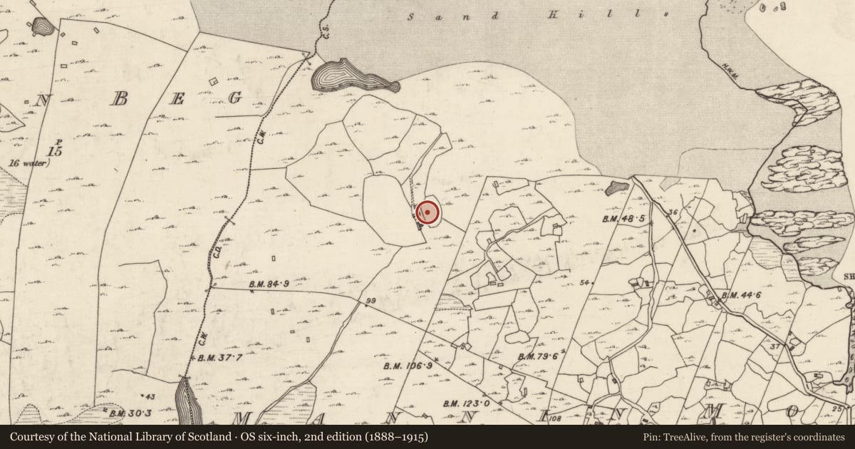 Ordnance Survey six-inch map, 2nd edition (1888–1915) covering the location of Enclosure, Mannin More, County Galway, with a pin at the register's coordinates