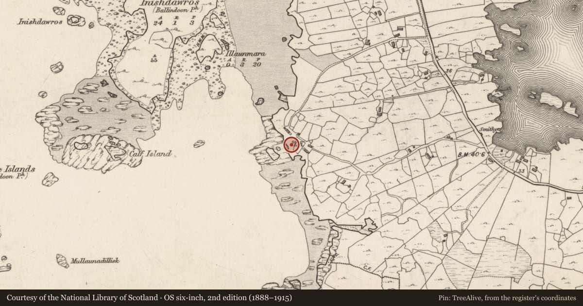 Ordnance Survey six-inch map, 2nd edition (1888–1915) covering the location of Midden, Callow, County Galway, with a pin at the register's coordinates