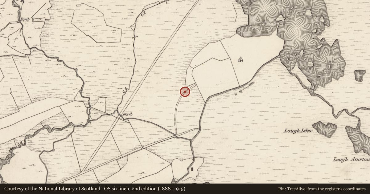 Ordnance Survey six-inch map, 2nd edition (1888–1915) covering the location of Children's burial ground, Emlaghmore (Ballindoon Par.), County Galway, with a pin at the register's coordinates