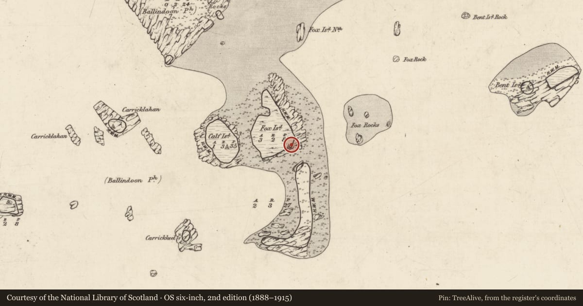 Ordnance Survey six-inch map, 2nd edition (1888–1915) covering the location of Midden, Fox Island, County Galway, with a pin at the register's coordinates