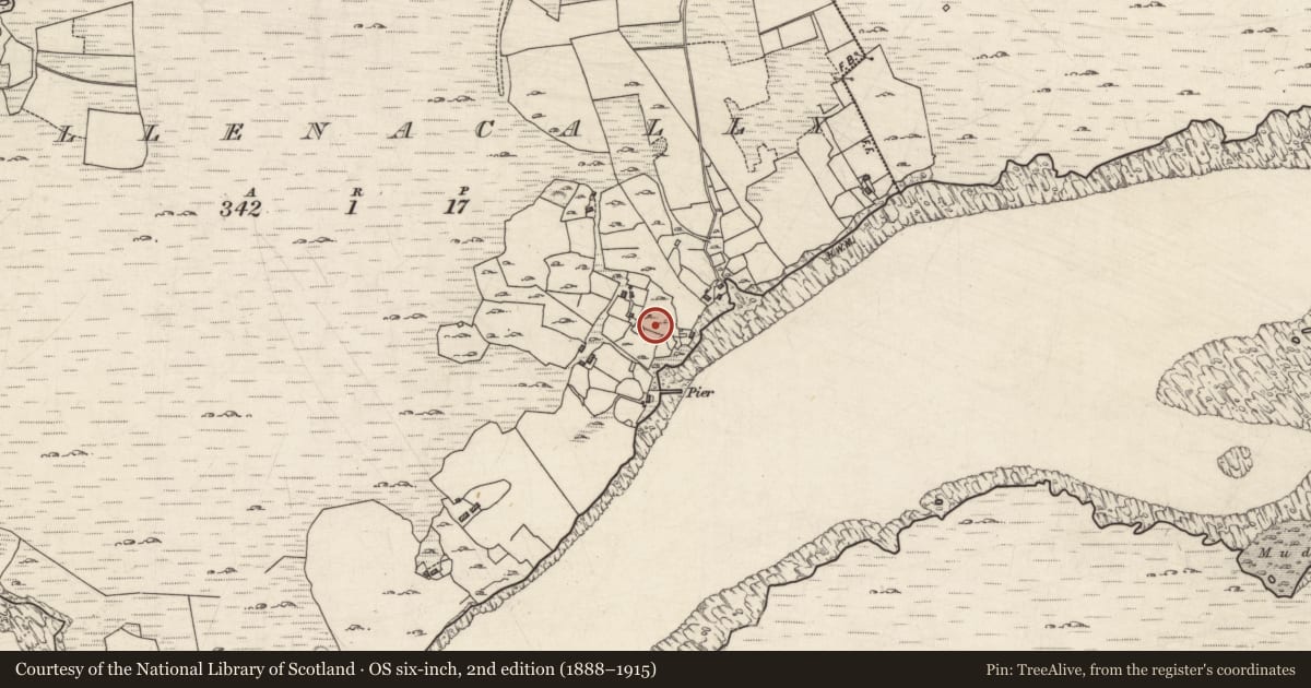 Ordnance Survey six-inch map, 2nd edition (1888–1915) covering the location of Settlement cluster, Aillenacally, County Galway, with a pin at the register's coordinates