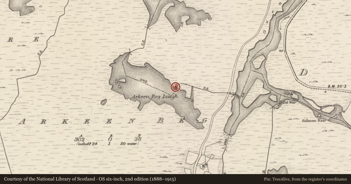Ordnance Survey six-inch map, 2nd edition (1888–1915) covering the location of Water mill - horizontal-wheeled, Arkeen Beg, Derryvickrune, County Galway, with a pin at the register's coordinates
