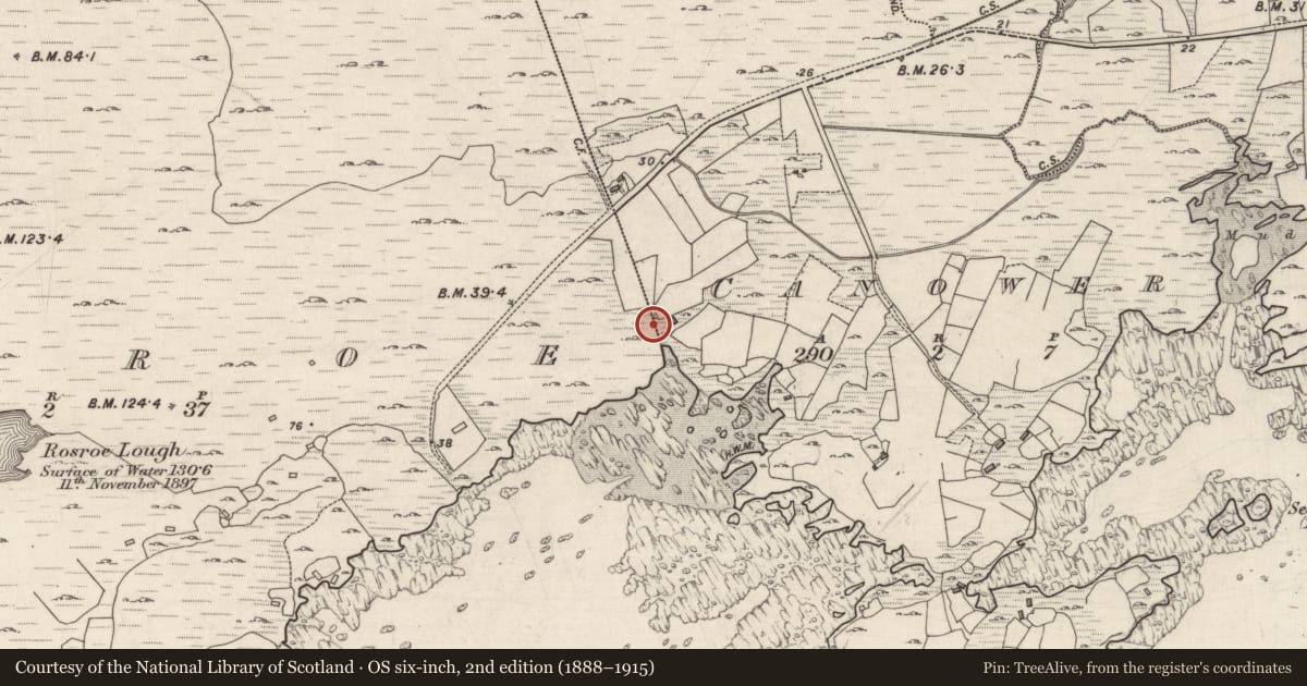 Ordnance Survey six-inch map, 2nd edition (1888–1915) covering the location of Children's burial ground, Canower, Rosroe (Ballindoon Par.), County Galway, with a pin at the register's coordinates