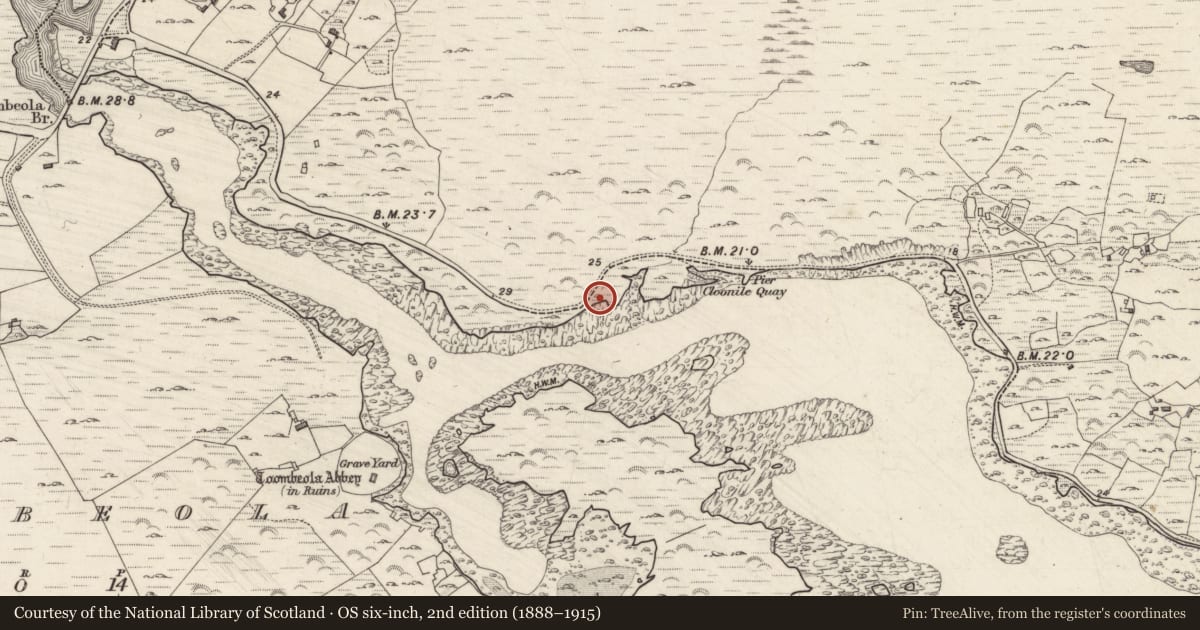 Ordnance Survey six-inch map, 2nd edition (1888–1915) covering the location of Burial, Doire Fhada Thiar, County Galway, with a pin at the register's coordinates