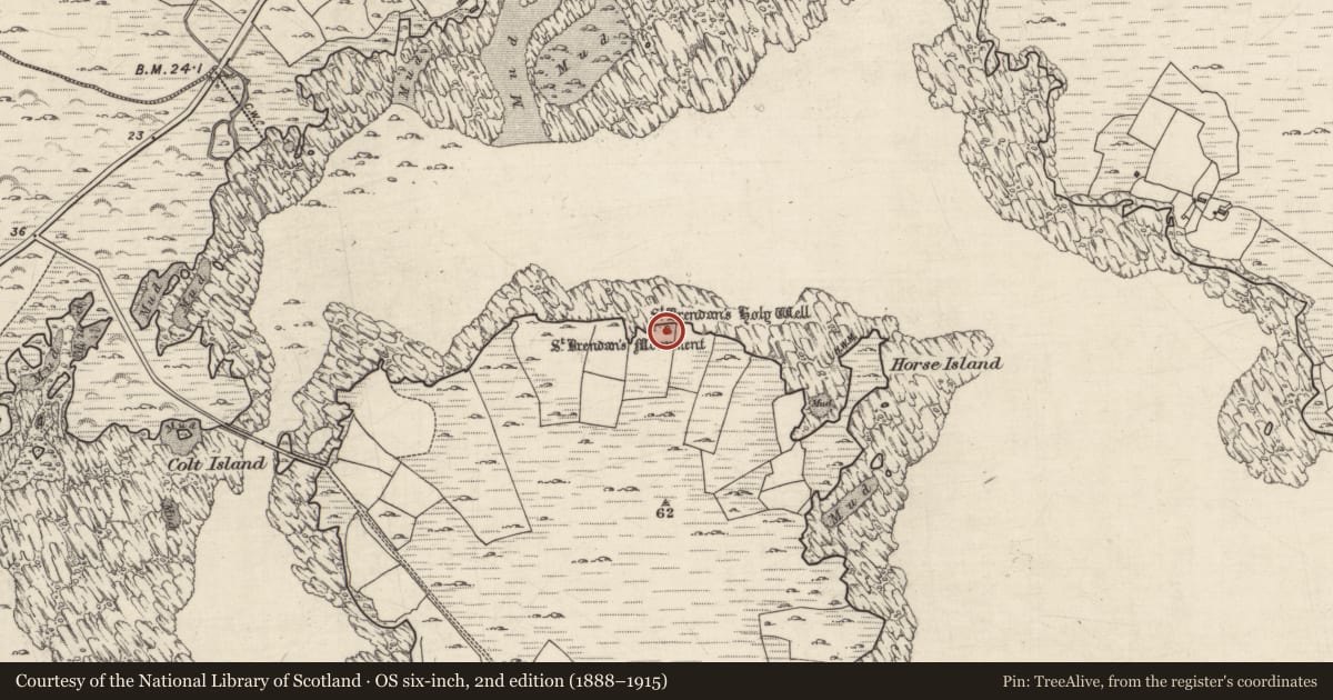 Ordnance Survey six-inch map, 2nd edition (1888–1915) covering the location of Ritual site - holy well, Inis Ní, County Galway, with a pin at the register's coordinates