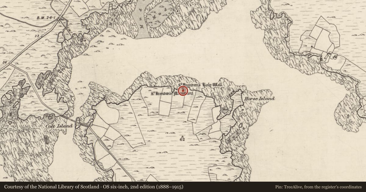 Ordnance Survey six-inch map, 2nd edition (1888–1915) covering the location of Cairn - unclassified, Inis Ní, County Galway, with a pin at the register's coordinates