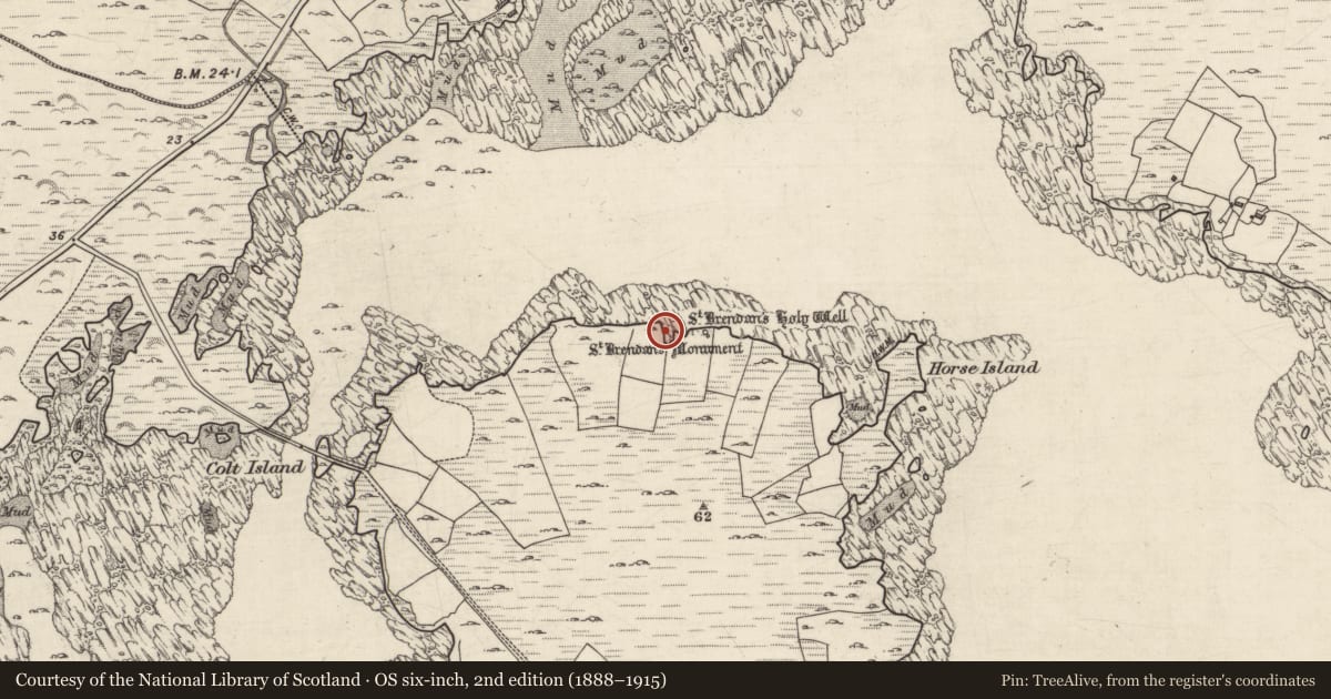 Ordnance Survey six-inch map, 2nd edition (1888–1915) covering the location of Ritual site - holy well, Inis Ní, County Galway, with a pin at the register's coordinates