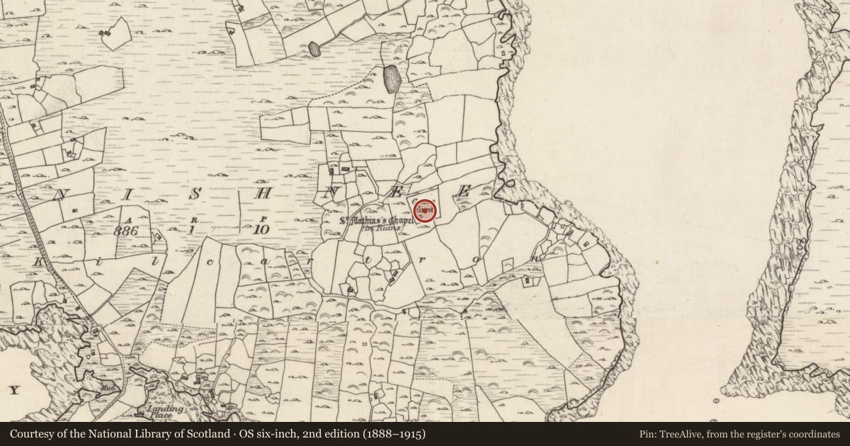 Ordnance Survey six-inch map, 2nd edition (1888–1915) covering the location of Cross-inscribed pillar, Inis Ní, County Galway, with a pin at the register's coordinates
