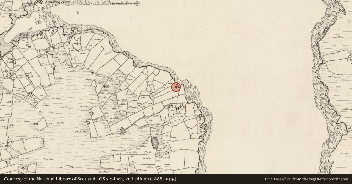 Ordnance Survey six-inch map, 2nd edition (1888–1915) covering the location of Building, Inis Ní, County Galway, with a pin at the register's coordinates