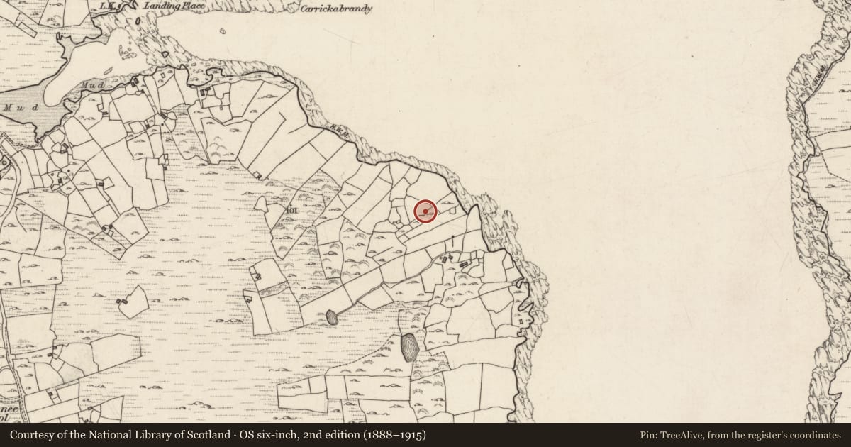 Ordnance Survey six-inch map, 2nd edition (1888–1915) covering the location of Enclosure, Inis Ní, County Galway, with a pin at the register's coordinates