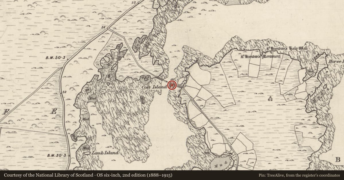 Ordnance Survey six-inch map, 2nd edition (1888–1915) covering the location of Fortification, Inis Ní, County Galway, with a pin at the register's coordinates