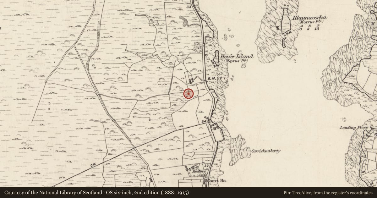 Ordnance Survey six-inch map, 2nd edition (1888–1915) covering the location of Kiln - corn-drying, Letterdife, County Galway, with a pin at the register's coordinates