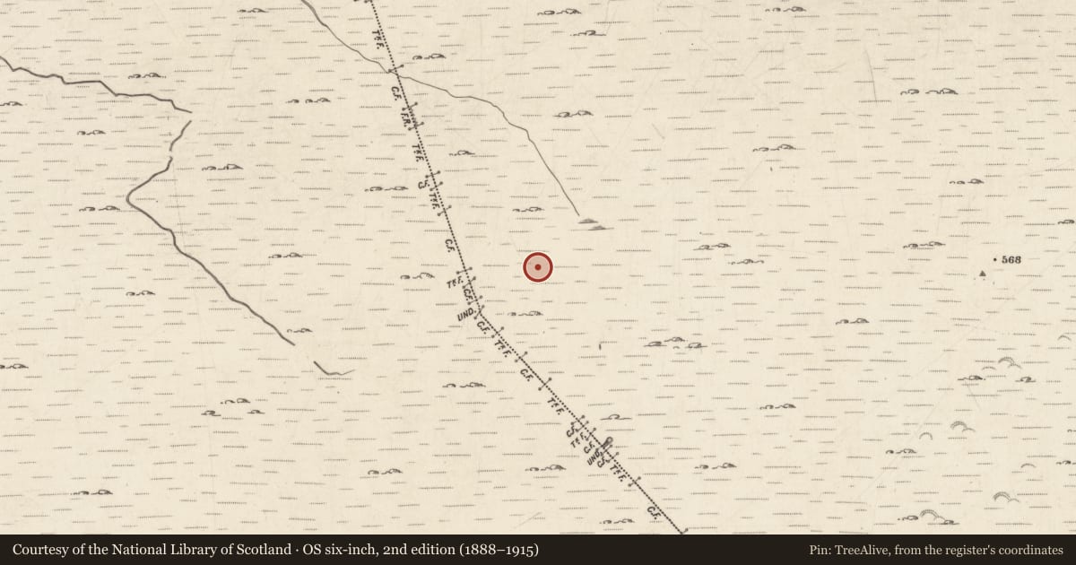 Ordnance Survey six-inch map, 2nd edition (1888–1915) covering the location of Hut site, Letterdife, County Galway, with a pin at the register's coordinates