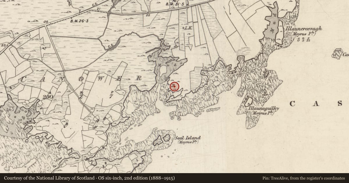 Ordnance Survey six-inch map, 2nd edition (1888–1915) covering the location of Megalithic structure, Tawnaghbaun, County Galway, with a pin at the register's coordinates