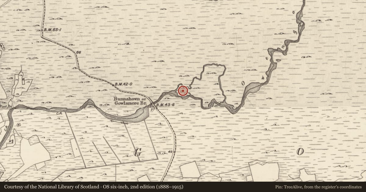 Ordnance Survey six-inch map, 2nd edition (1888–1915) covering the location of Burial, Bun Na Habhann, County Galway, with a pin at the register's coordinates