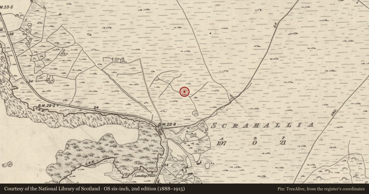 Ordnance Survey six-inch map, 2nd edition (1888–1915) covering the location of Field system, Cloonisle, County Galway, with a pin at the register's coordinates