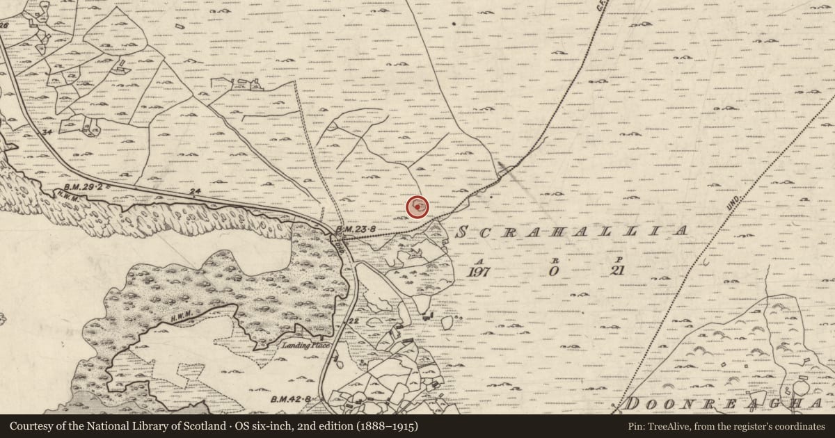 Ordnance Survey six-inch map, 2nd edition (1888–1915) covering the location of Enclosure, Cloonisle, County Galway, with a pin at the register's coordinates
