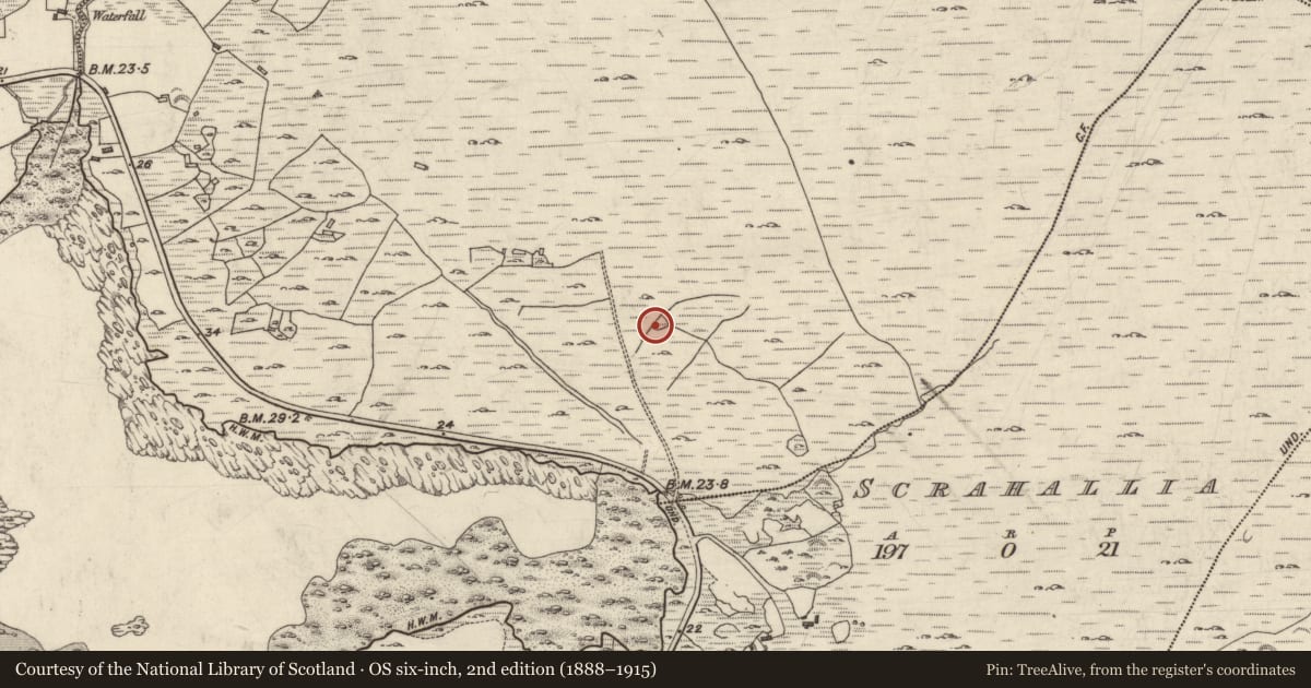 Ordnance Survey six-inch map, 2nd edition (1888–1915) covering the location of Enclosure, Cloonisle, County Galway, with a pin at the register's coordinates